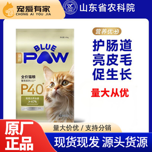 �{צ P40ȫ�r؈�Z����ϵ����؈��؈Ӣ�����̲�ż�ӷ��L����ë؈�Z