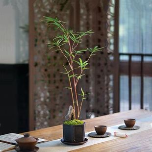 ����t�^�����辰����Gֲ���������̨С�����҃�ͥԺ�bt����