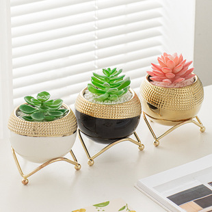 �p�ݸ߼����僽��A��С�����մ��Ж|���⻨���F�ܶ��������Q�羳