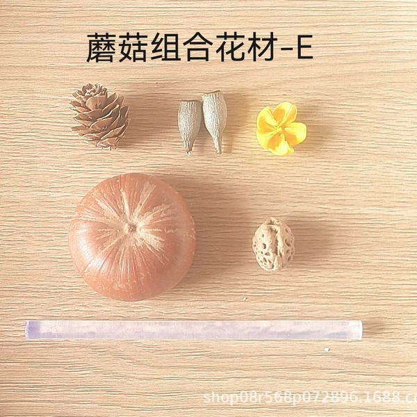 Materials set with clove mushrooms
