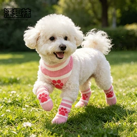 宠物袜子