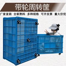 ݆ϿUӺMA̖DС50-1׾Wz