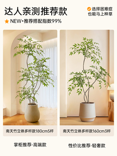 ?�Gֲ�������҃ȿ͏d�ҕ���з����Gɫֲ��������ԷՇ�