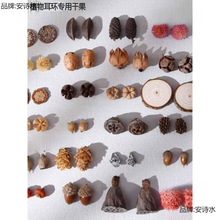 ֲ����h��Ȼ�ɹ��Ϲ�DIY����ς��Ԅ���С�������������