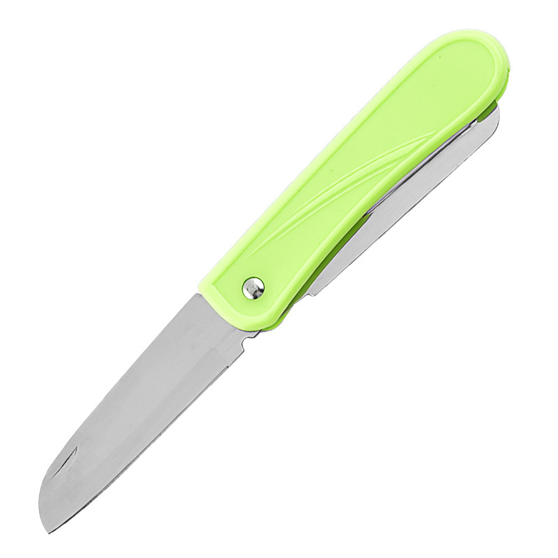 Cuchillo de frutas l