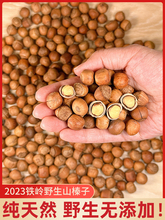 东北铁岭新鲜野生小榛子2023年特产原味炒熟开口榛子孕妇零食坚果