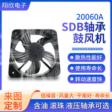 20060ԴsL48vԴ12v24v110v220v늙CɢL