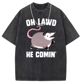 Short-sleeved T-shirt Men's Harajuku Vintage Animation oversize Loose plus size Men's and Women's Original Custom