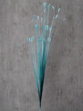 ?��ȸ�ݟ���·���廨����ȸ�ݻ�c���߻�Y��ˇ�JȔ��ȸ