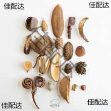 ֲ���ȫ�ɹ� �˱����diy�b� ������ղ��OӋ���ĵ���