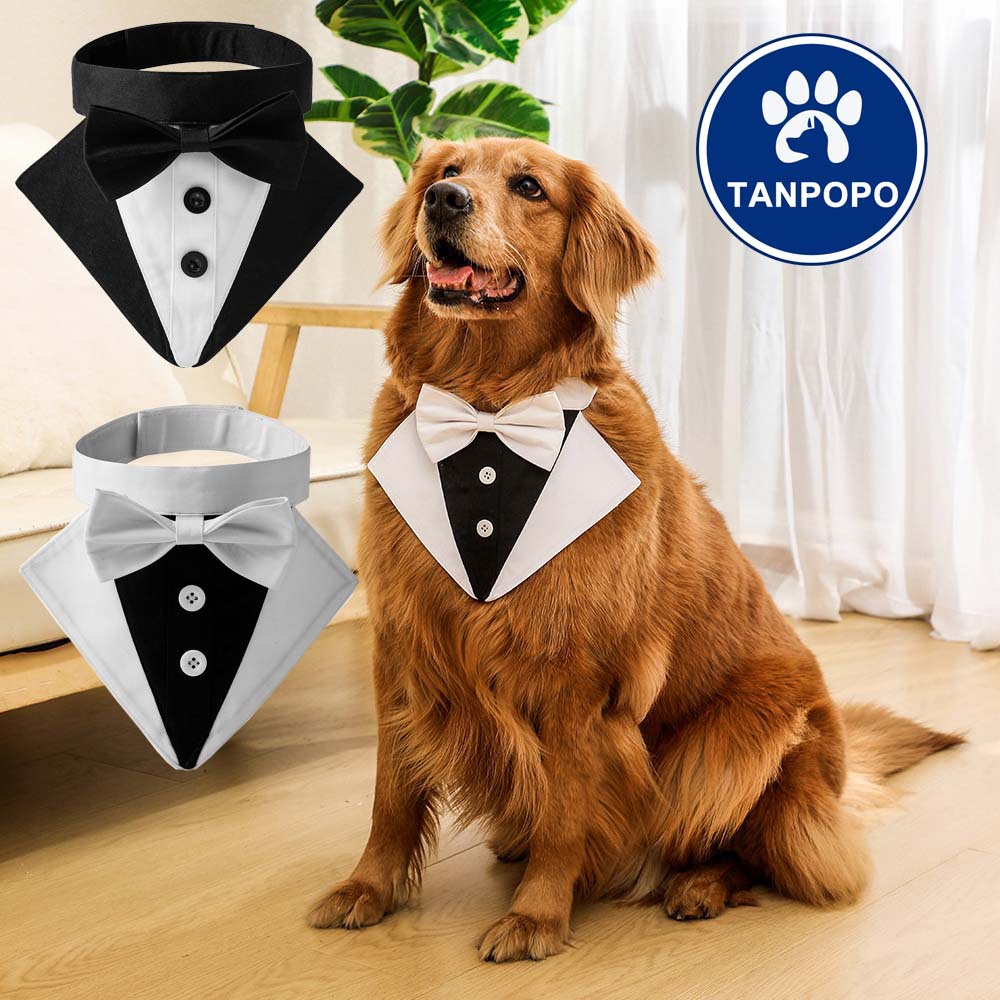El fabricante TANPOPO tiene un amplio stock de nuevos trajes para mascotas de caballero británico transfronterizos y bandanas para bodas.