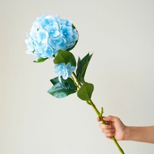 �ָ��z��֧������滨����cܛ�b�Ҿ��Ɍ��zӰ�b���