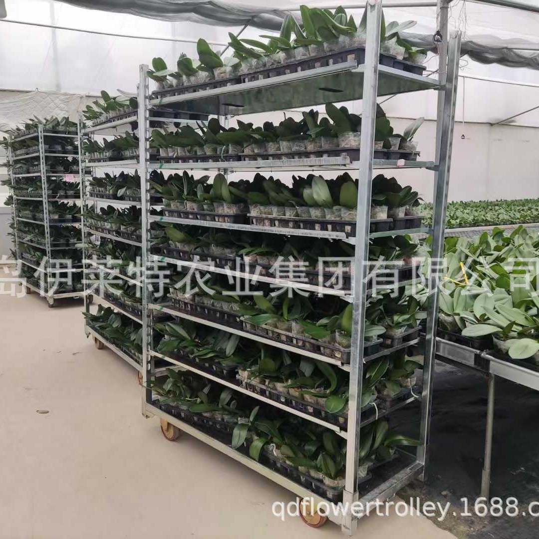 厂家直销花卉台车， 移动育苗货架子育苗车，花卉物流台车