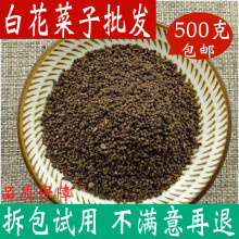 白花菜子店铺500克包邮白花菜籽 白花菜种子 百花菜子真货好