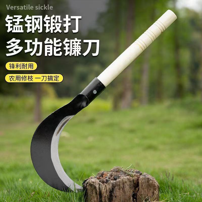 微信图片_20250420183035.jpg