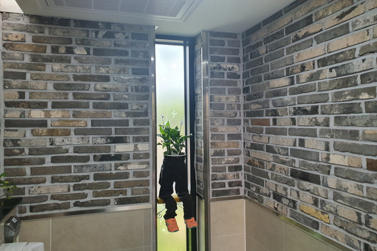 仰明老砖-青砖砖皮系列 (30)