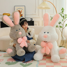 ��������ë�q����L�����������ż���пɐ����Ӵ�̖��������Y��