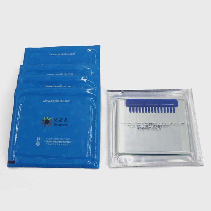 BeyoGel Plus PAGE сборный клей Tris-Gly, 4-20%, 15 отверстий P0469S P0469M