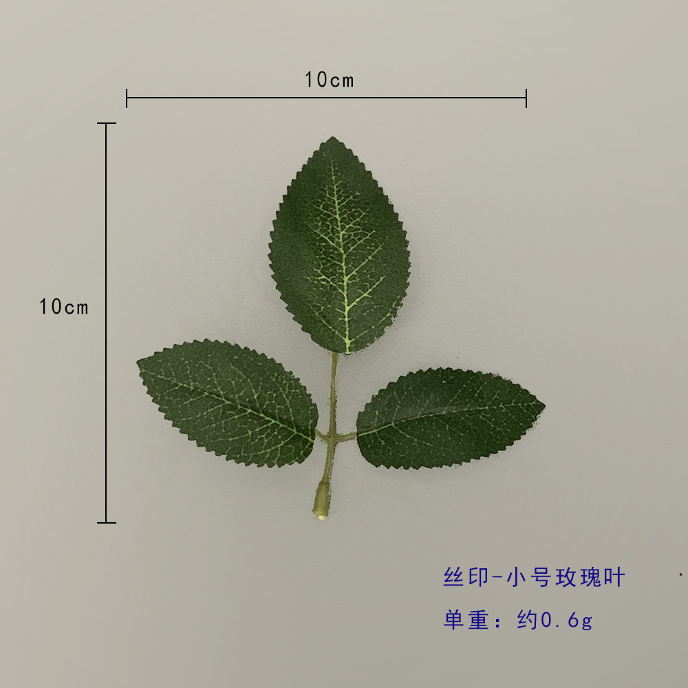 트럼펫 장미 잎