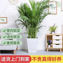 ɢβFҬ҃ȾGֲ;Gֲkҿ͏dGֲļ