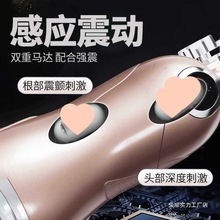 ȫԄ늄wCο挍ꎵŮɲƷ