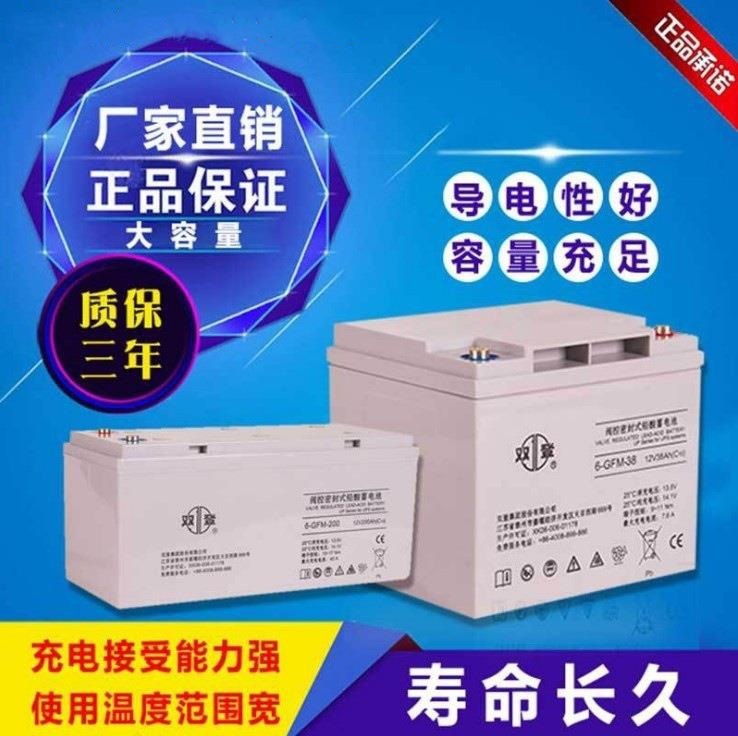 双登蓄电池6-GFM-100铅酸12V100AH免维护UPS电源直流屏机房发电厂