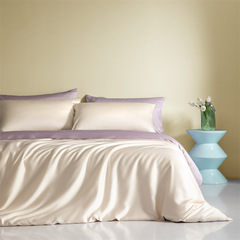 Light Luxury Cool Sensation Tencel Luxury Set 4-Piece Set with Two-Tone Lyrac Fiber Duvet Cover Summer Cool Tencel 4-Piece Set