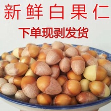手工去壳现剥新鲜生白果仁银杏果仁1----5装斤包邮下单现剥银杏仁