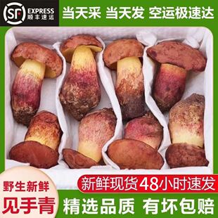 ������r�t�[Ҋ����ţ�ξ�Ұ�����tҊ���rĢ��ʳ�þ���S��朰��]