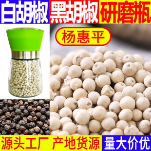 ���l�׺�����ɢ�b�ں�����偟����{ζ�����Ҝ��u��ș�ĵؔ���؛