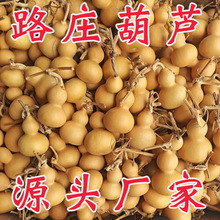 小葫芦批发 聊城天然葫芦文玩葫芦手捻葫芦 源头厂家直销