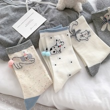 n|T¿ɐۿͨСͲmŮļϵoǶѶLm