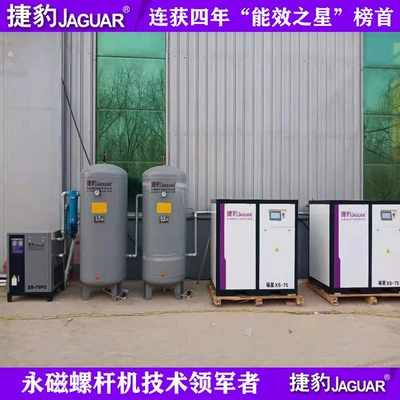 Jaguar Air Compressor Fortune XS Series Combination Sets Are All Available with Jaguar Brand Direct Air Compressors to Save Electricity