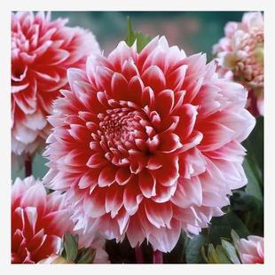 �������N�Ӵ������Ѷ����������׻��^�p�����ļ��NͥԺ�ݻ��N����