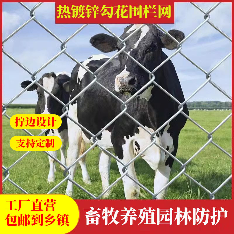 勾花网养殖圈地球场围栏热镀锌铁丝护栏网宾网堤坝防护栏