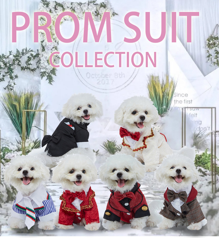 Formel hundeskjorte med slips til bryllup og jul_voghion.com