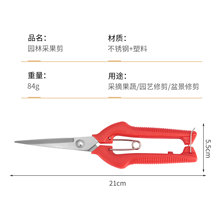 农用生产园林修枝剪花园摘果剪稀果剪葡萄剪园林工具加长弹簧耐用