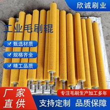 工业机械清洗机毛刷辊清洁尼龙丝除尘清洗器除锈植毛式滚筒滚刷
