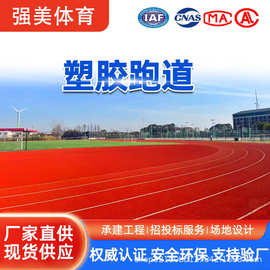 学校塑胶跑道户外EPDM塑胶颗粒跑道预制型颗粒透气型跑道塑胶颗粒