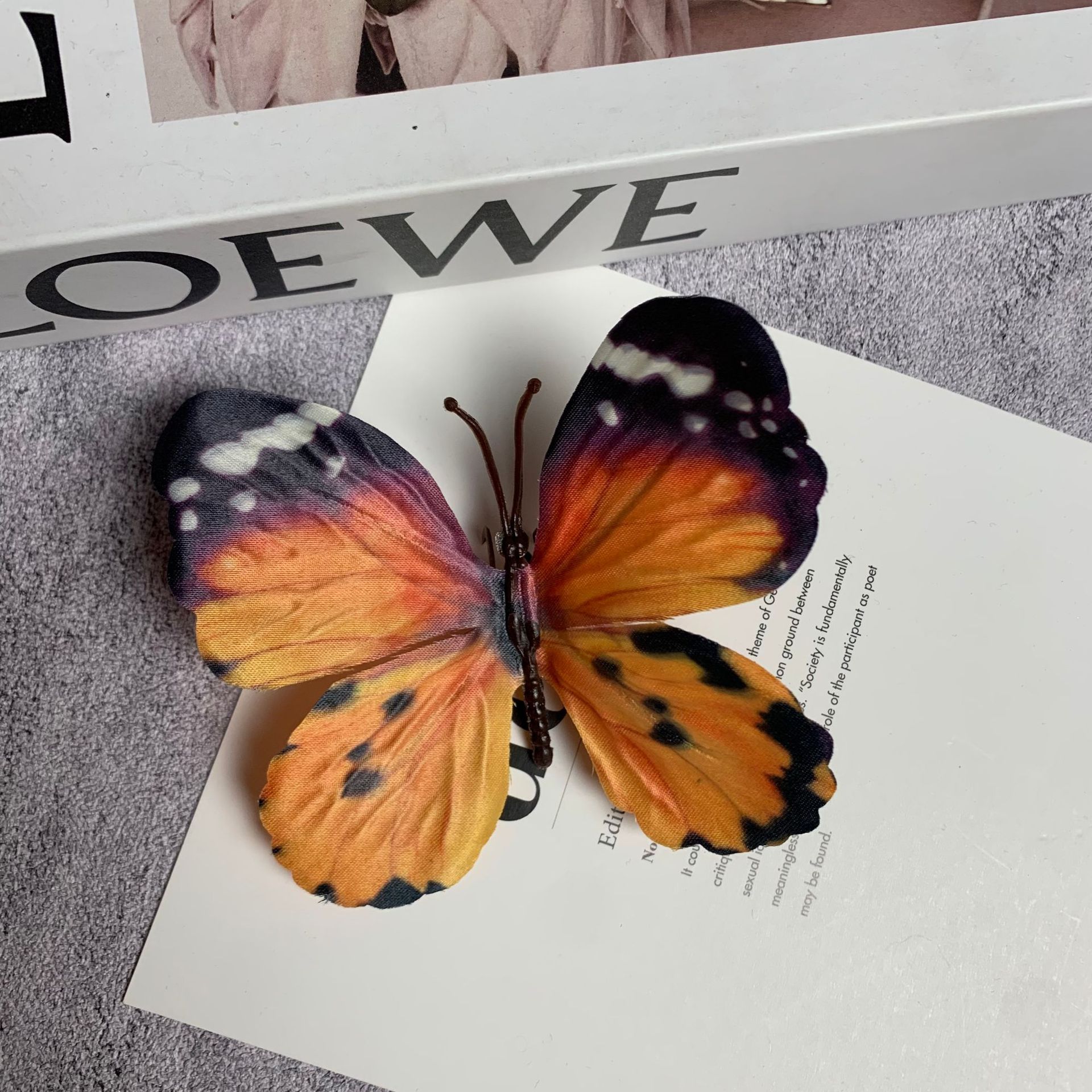 큰 나비 검은 국화