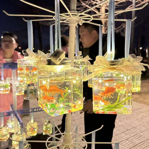 Net celebrity night market stalls canned fish materials bottled handmade ornamental fish fish tank with lights small luminous small toys recommended