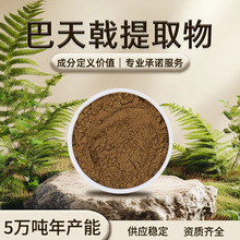 巴天戟提取物 棕色 易溶于水 巴戟天清香 干燥避光储存 现货批发