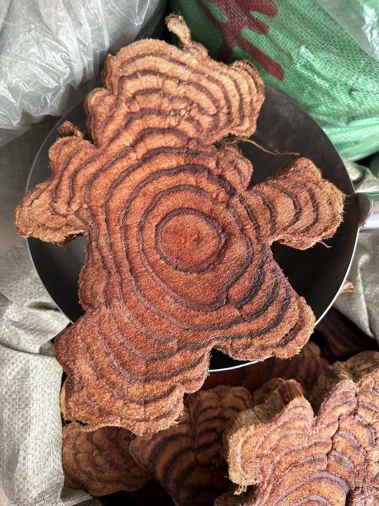 83ffa1d0-97df-4b08-b5af-033ce4