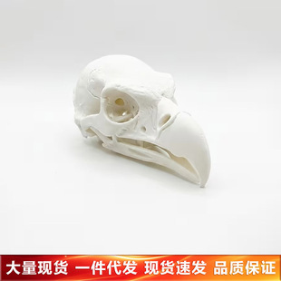 �羳��Ʒ3d��ӡ�b�ˇ�g���氢��͢�����^��ģ���p�ݿ͏d���P����