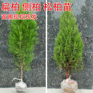 ���ؘ���ؘ���Ȱؘ������ؘ����ɰر����ؘ����G�����ɘ���