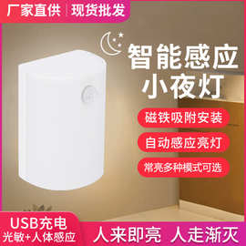 特卖爆款户外露营夜灯人体感应小夜灯USB充电夜灯带开关户外灯