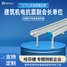 现货哈芬预埋槽道 综合管廊支架预埋件 哈芬槽厂家轨道桥架哈芬槽
