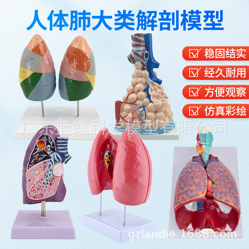 ��Ȼ��������ķ�ģ�ͺ�����״�ٷ��������ϵͳ�β�������ʽ�ѧ