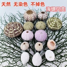 ���]�۰׺�đ����Ȼؐ������diy���ݚ��՚��P����⻨���b�