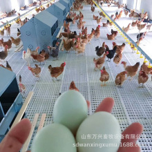 ©Sذ ©Sذ ©Sذfd1